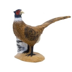 SRT Faisan Cible 3D  - Arc de chasse, arc de compétition, accessoires de tir à l'arc | Erhart Sports