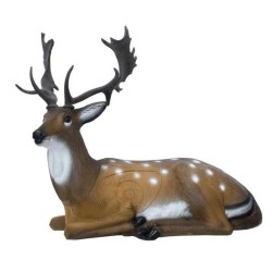SRT Daim couché Cible 3D  - Cibles 3D  | Erhart Sports