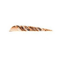 Gataway camo parabolique plumes naturelles - Arc de chasse, arc de compétition, accessoires de tir à l'arc | Erhart Sports