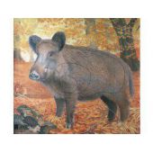 JVD Sanglier blason chasse