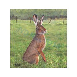 JVD Lièvre blason de chasse