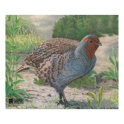 JVD Perdrix Blason de chasse