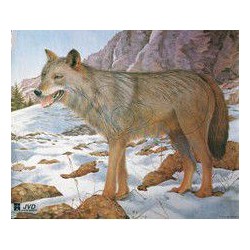 JVD Loup blason chasse