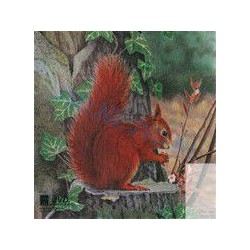 JVD Ecureuil blason chasse