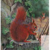 JVD Ecureuil blason chasse