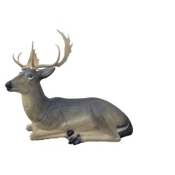 SRT Daim Melas couché cible 3D