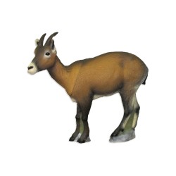 SRT Ibex Femelle cible 3D