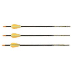 Easton Carbone one Flèche  - Flèches montées  | Erhart Sports