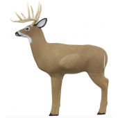Field Logic Big Buck shooter
