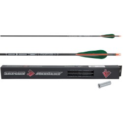 Skylon Frontier Pack 12