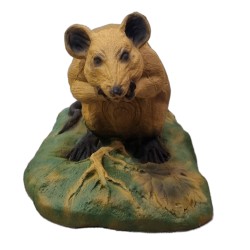 Cible 3D rat -  Ital espanso