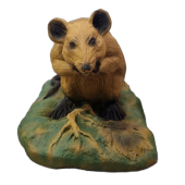 Cible 3D rat -  Ital espanso