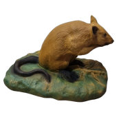 Cible 3D rat -  Ital espanso