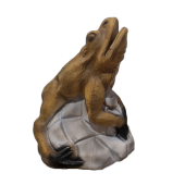 Cible 3D crapaud-  Ital espanso