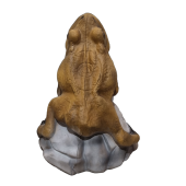 Cible 3D crapaud-  Ital espanso