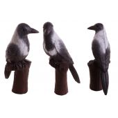 BEIER Cibles 3D corbeau