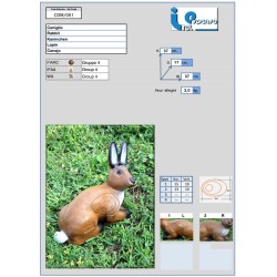 LAPIN 3D ITAL ESPANSO