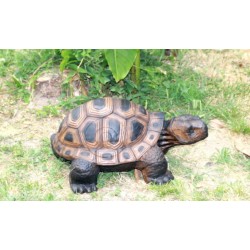 ITAL ESPANSO CIBLE 3D tortue