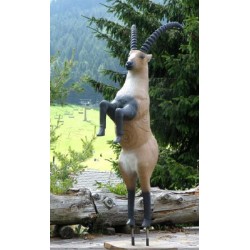 ITAL ESPANSO Cible 3D Bouquetin cabré