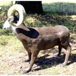 ITAL ESPANSO Cible 3D Mouflon canadien debout