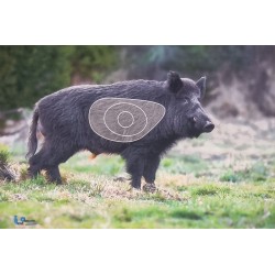 ITAL ESPANSO Blason sanglier2D en mousse