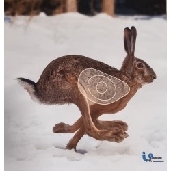 ITAL ESPANSO Blason lièvre 2 D en mousse