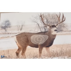 ITAL ESPANSO Blason cerf 2 D en mousse