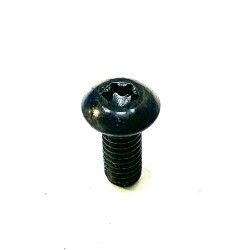 PSE vis module 13 mm torx