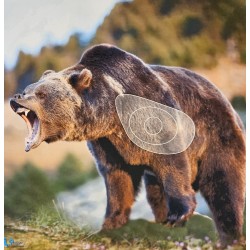 ITAL ESPANSO Blason ours 2 D en mousse