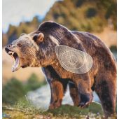 ITAL ESPANSO Blason ours 2 D en mousse