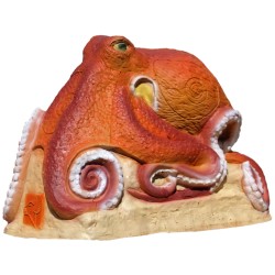SRT Cible 3D octopus