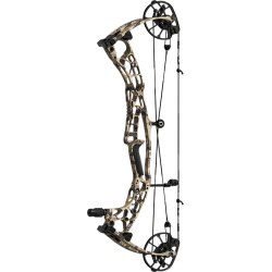 Hoyt AX29 arc à poulies de chasse