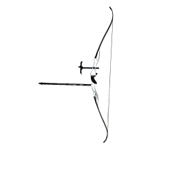 Kit arc classique avec poignée Delta NX2 et branches carbone - WNS équipement complet