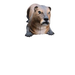 Cible 3D LOUTRE-  Ital espanso - loutre