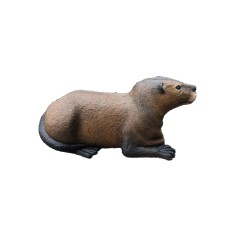 Cible 3D LOUTRE-  Ital espanso - loutre