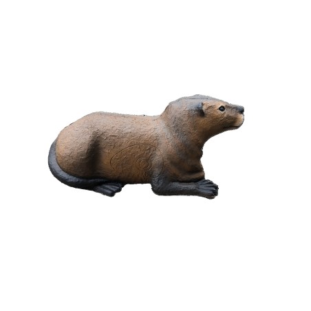 Cible 3D LOUTRE-  Ital espanso - loutre