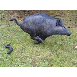 Natur Foam cible 3D sanglier courant