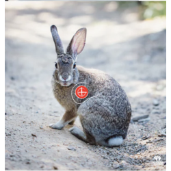 BEARPAW Blason chasse lièvre