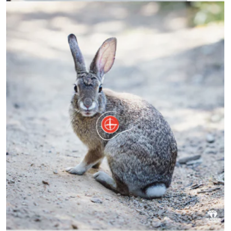 BEARPAW Blason chasse lièvre