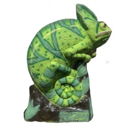 SRT caméléon Cible 3D  - Cibles 3D  | Erhart Sports