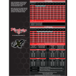 Victory VXT V1 elite tubes carbone - flèche en carbone arc à poulies