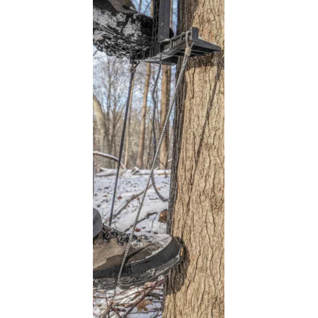 Latitude Amsteel Single Step Aider