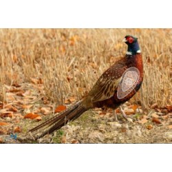 ITAL ESPANSO Blason faisan en mousse