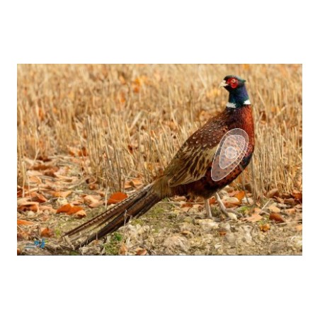 ITAL ESPANSO Blason faisan en mousse