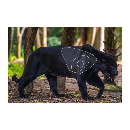 ITAL ESPANSO Blason Panthère noire en mousse