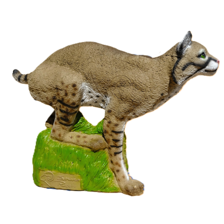 SRT Bobcat cible 3D