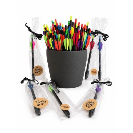 stylo pour le tir à l'arc