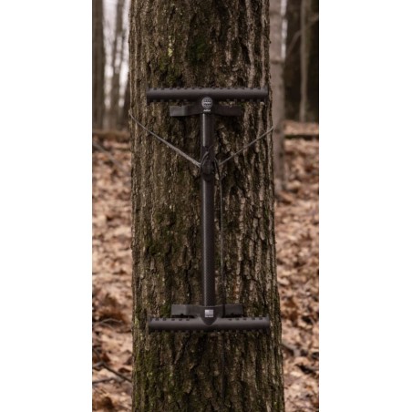 Latitude stick carbone Synergy